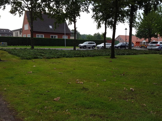 ../fotos/weltrekordversuch_ostrhauderfehn_2019/2019-06-15 09.41.14.jpg